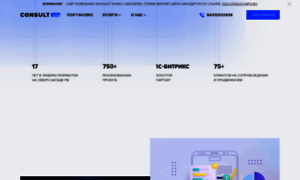 Consult-info.ru thumbnail