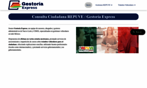 Consulta-repuve.com.mx thumbnail