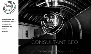 Consultant-referencement-seo.fr thumbnail