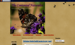 Contentednaturalist.blogspot.com thumbnail