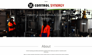 Controlsynergy.co.nz thumbnail