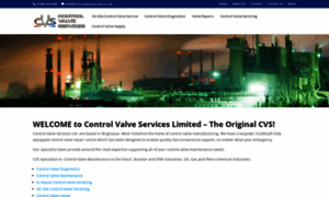 Controlvalveservices.co.uk thumbnail