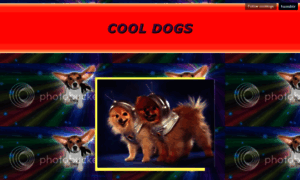 Cooldogs.cool thumbnail
