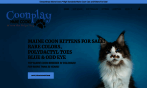 Coonplaymainecoons.com thumbnail