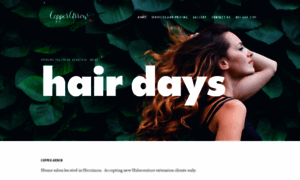 Copperarrowsalon.com thumbnail