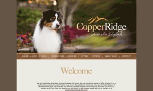 Copperridgeaussies.com thumbnail
