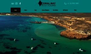 Coralbayecotours.com.au thumbnail