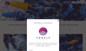 Corals.direct thumbnail