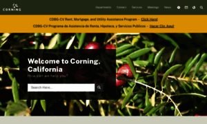 Corning.org thumbnail