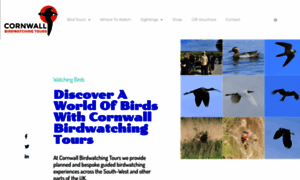 Cornwall-birding.co.uk thumbnail