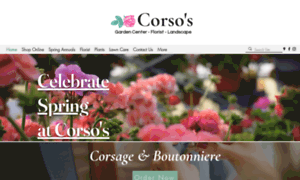 Corsos.com thumbnail