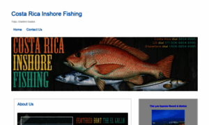 Costaricainshorefishing.com thumbnail