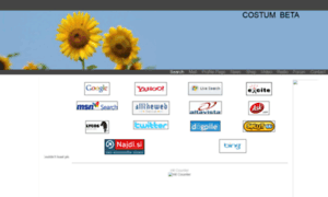 Costum.weebly.com thumbnail