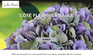 Cote-fleurs-labaule.fr thumbnail