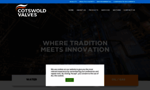 Cotswoldvalves.co.uk thumbnail