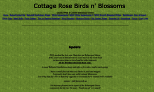 Cottage_rose_birdsnblossoms.webs.com thumbnail