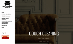 Couchcleanersnewyorkcity.com thumbnail