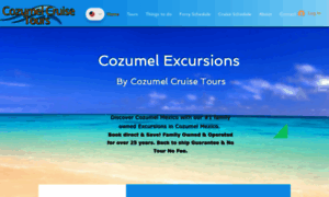 Cozumelcruisetours.com thumbnail