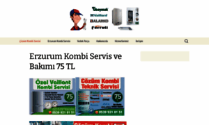 Cozumkombi.com thumbnail