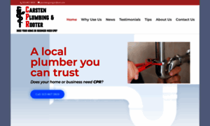 Cprplumbing.info thumbnail