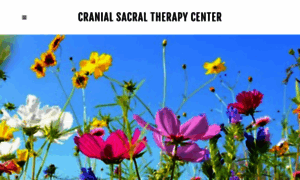 Cranialsacraltherapycenter.com thumbnail