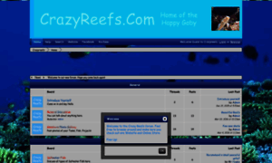 Crazyreefs.boards.net thumbnail