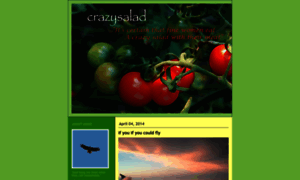 Crazysalad.typepad.com thumbnail