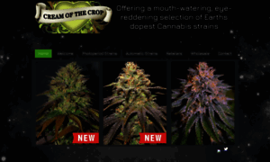 Creamofthecropseeds.com thumbnail