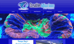 Creativeaquariumsoftampa.com thumbnail