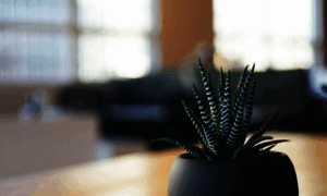 Cretechintersect.com thumbnail