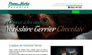 Criaderodeyorkshireterrier.com thumbnail