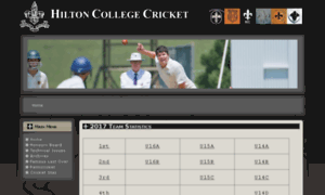 Cricket.hiltoncollege.com thumbnail