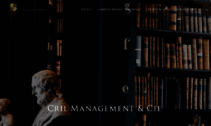 Cril-management.com thumbnail