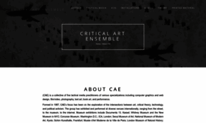 Critical-art.net thumbnail