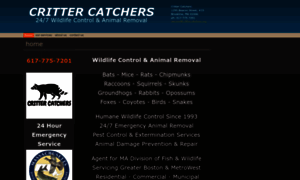 Crittercatchersboston.com thumbnail