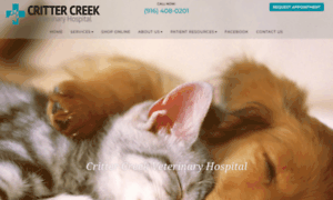 Crittercreekvet.com thumbnail