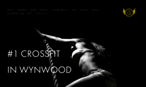 Crossfityellowfalcon.com thumbnail