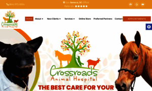 Crossroadsanimal.com thumbnail