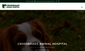 Crossroadsanimalhospital.net thumbnail