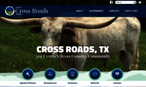 Crossroadstx.gov thumbnail