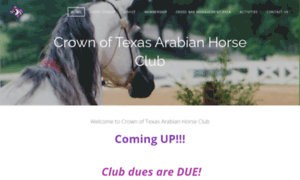 Crownoftexasarabianhorseclub.com thumbnail