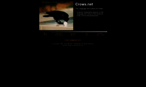 Crows.net thumbnail
