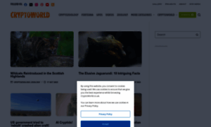 Cryptoworld.co.uk thumbnail