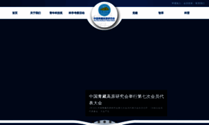 Cstp.org.cn thumbnail