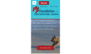 Ctca-foundation.org thumbnail