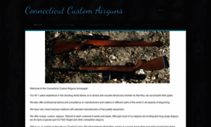 Ctcustomairguns.com thumbnail