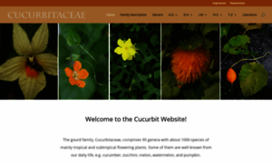 Cucurbit.de thumbnail
