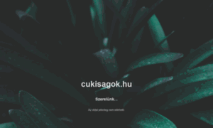 Cukisagok.hu thumbnail