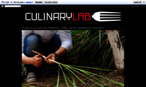 Culinarylab-alchemist.blogspot.com thumbnail