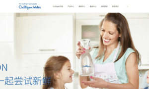 Culligan.com.cn thumbnail